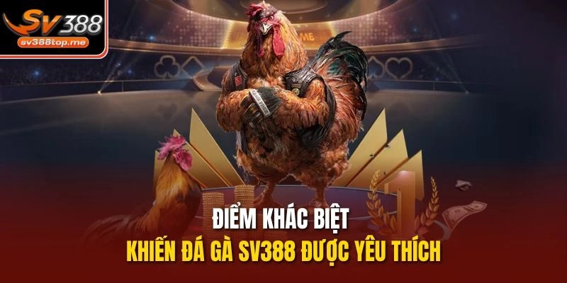 Điểm khác biệt khiến đá gà sv388 được yêu thích