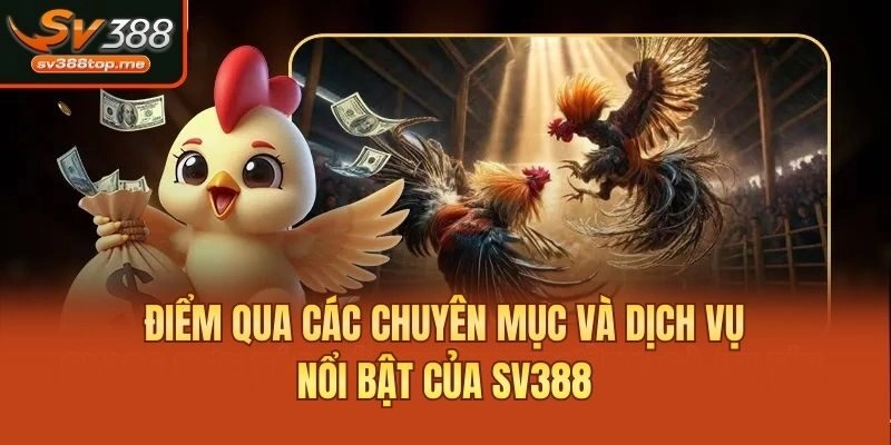 Điểm qua các chuyên mục và dịch vụ nổi bật của SV388